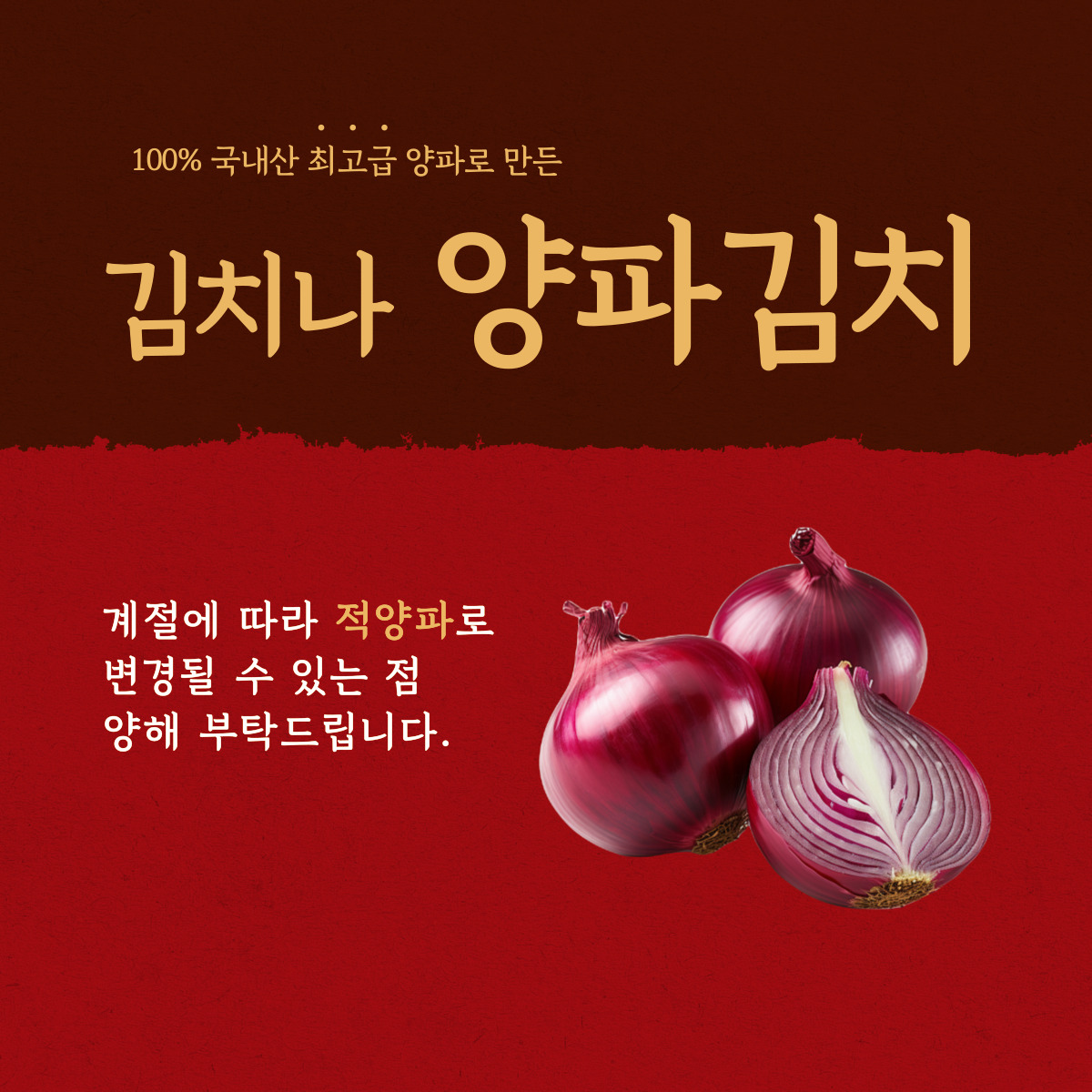 김치나 100% 국산 무안양파 김치 1kg